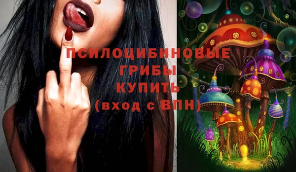 дживик Липки