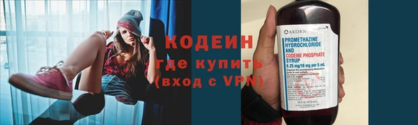 дживик Липки