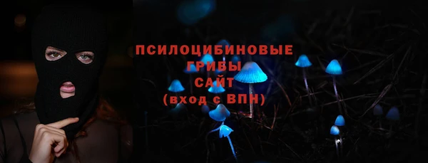 шишки Магадан