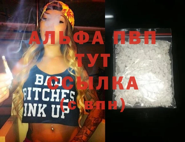 стаф Магас