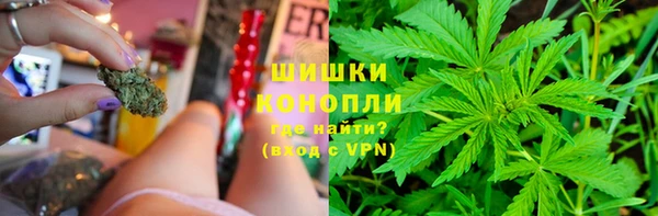 стаф Магас
