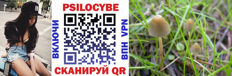 Псилоцибиновые грибы Magic Shrooms  Нестеров 